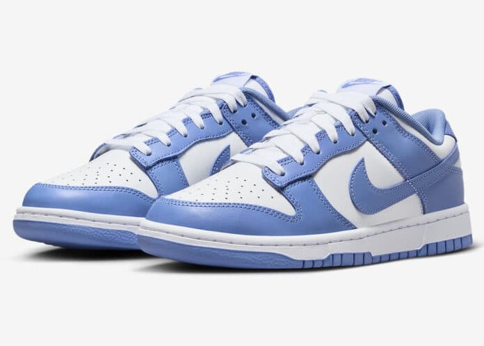 Nike-Dunk-Low-Polar-Blue-DV0833-400-4